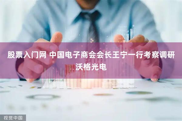 股票入门网 中国电子商会会长王宁一行考察调研沃格光电