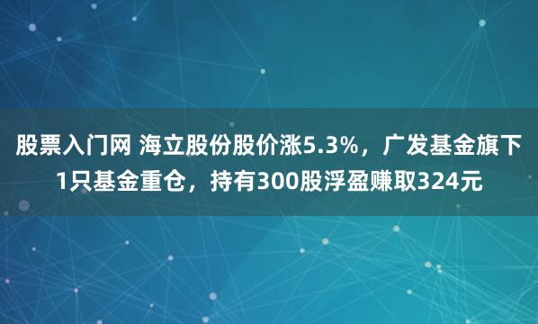股票入门网 海立股份股价涨5.3%，广发基金旗下1只基金重仓，持有300股浮盈赚取324元