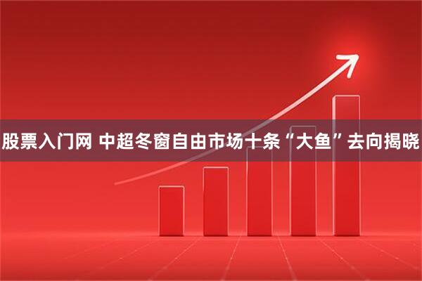 股票入门网 中超冬窗自由市场十条“大鱼”去向揭晓
