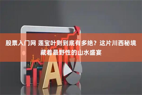 股票入门网 莲宝叶则到底有多绝？这片川西秘境藏着最野性的山水盛宴